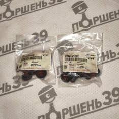 купить 22224-2G000 маслосъемные колпачки G4KE, G4KD, G4KJ, G4KH, Hyundai, Kia