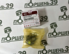 Натяжитель цепи ГРМ Hyundai/Kia G4KJ 24410-2G801