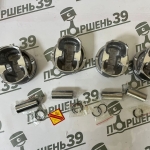 Поршни двигателя комплект 0.50 Hyundai Kia G4KJ G4KC 23410-2G500 23041-2G501