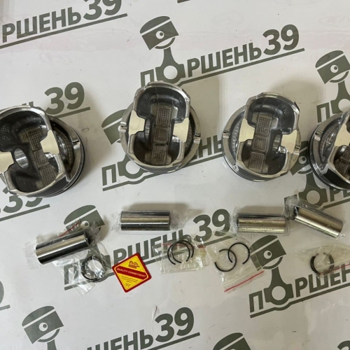 Поршни двигателя комплект 0.50 Hyundai Kia G4KJ G4KC 23410-2G500 23041-2G501